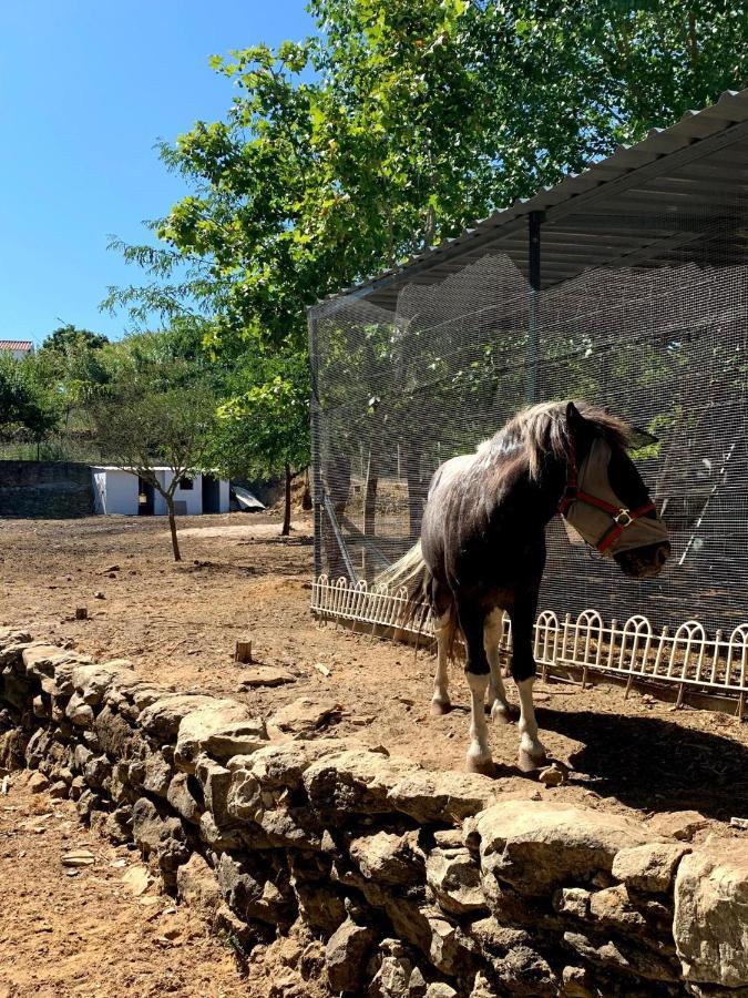 Quinta Do Vale - Natureza, Piscina E Praia! Carvoeira 外观 照片